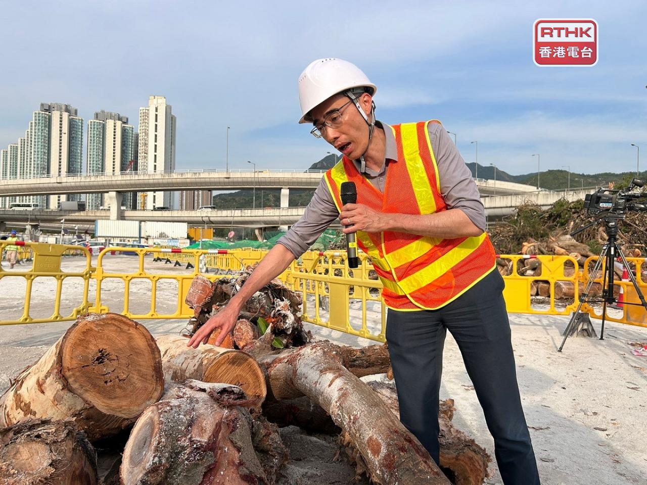 賴峻傑說一些體積較大的樹幹，會運去Y·PARK循環再造成家具、裝飾等。（林漢山攝）