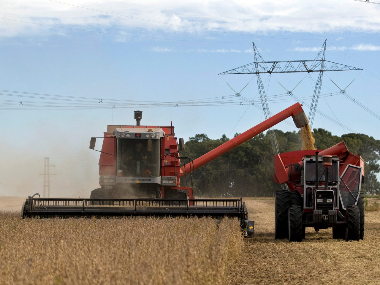 China has avoided buying US soybeans amid the trade war, turning to South America for supplies instead. File photo: Reuters