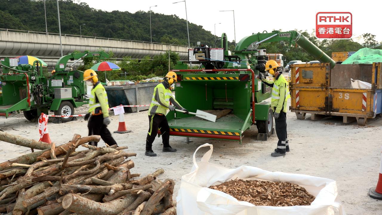 環保署設樹木臨時處理點　加快處理風暴後塌樹物料