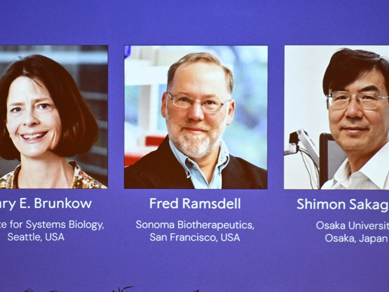 The three scientists are recognised for their discoveries concerning peripheral immune tolerance. Photo: Reuters