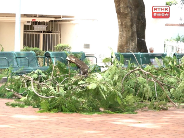 九龍灣啟業邨啟裕樓對開，上午11時許有一名37歲外傭被塌下的5米長樹枝擊中。（彭冠中攝）