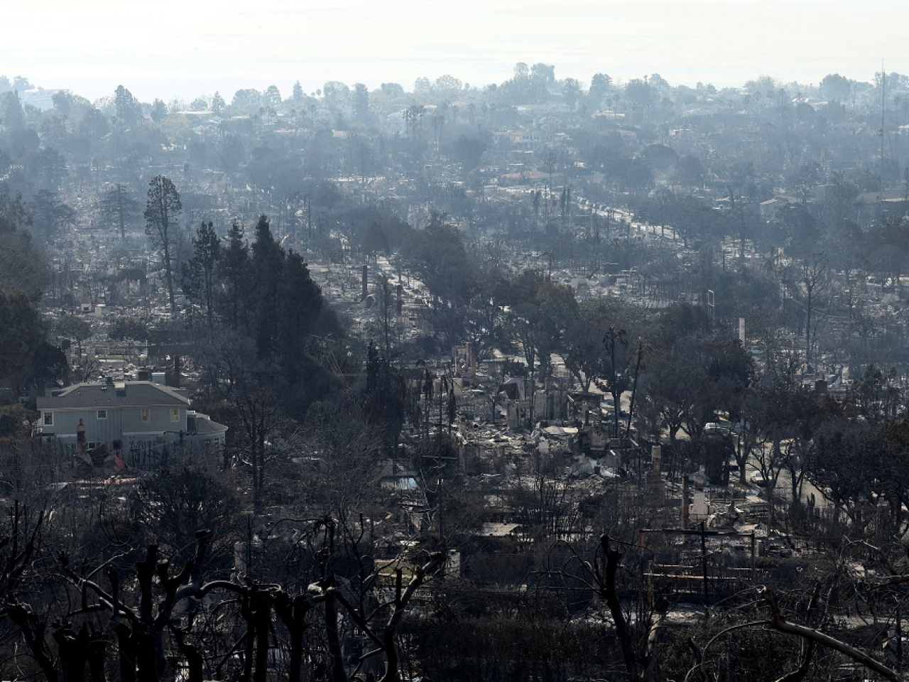 The fire razed the entire Palisades neighbourhood to the ground and killed a dozen people. Photo: Reuters