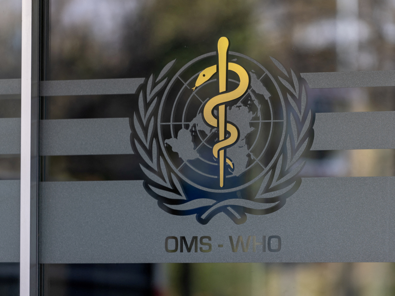 The WHO says antimicrobial-resistant superbugs directly cause over a million deaths and contribute to nearly five million deaths every year. File photo: Reuters