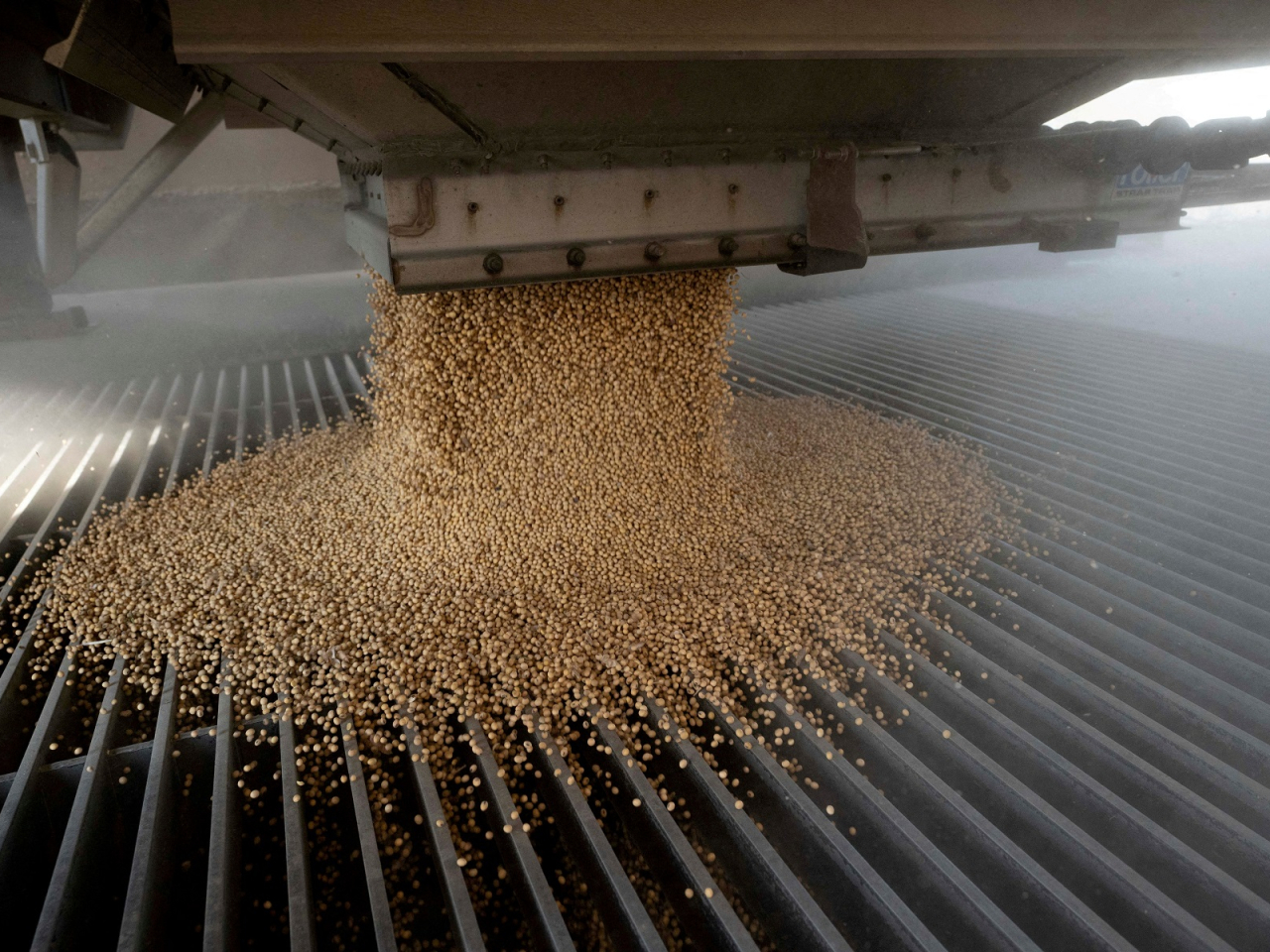 Trump said Washington is considering halting Chinese cooking oil imports in response to China stopping purchases of US soybeans. File photo: Reuters