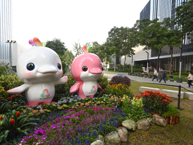 十五運會第三批次賽事門票,將於明早10時起於線上及線下,同步公開發售。(政府新聞處)