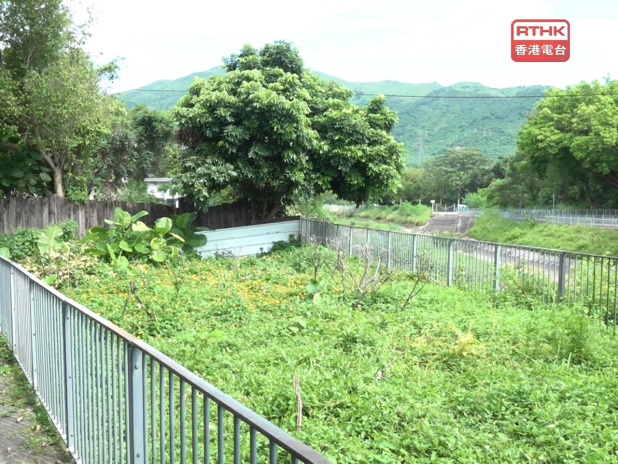 城規會經討論後同意將修訂的大綱圖刊憲。（港台圖片）