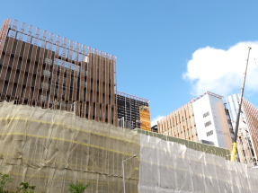 'Chinese medicine hospital to showcase collaboration'