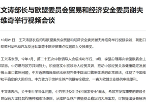 王文濤應約與謝夫喬維奇舉行視像會談。（商務部網頁截圖）