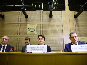 Louvre director Laurence des Cars told a Senate committee blind spots in the museum&#039;s security camera system meant the burglars managed to break in through a balcony undetected. Photo: Reuters