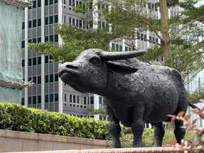 耀才證券與理工大學調查顯示，逾七成受訪投資者年初至今在股市獲利，近一成指賺逾30%。（港台圖片）