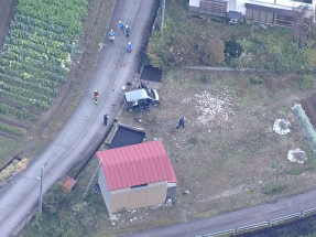 日本秋田四人遭熊襲擊　一死三傷
