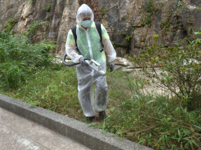 李家超：防控基孔肯雅熱加強滅蚊及防蚊　跟進居民健康情況