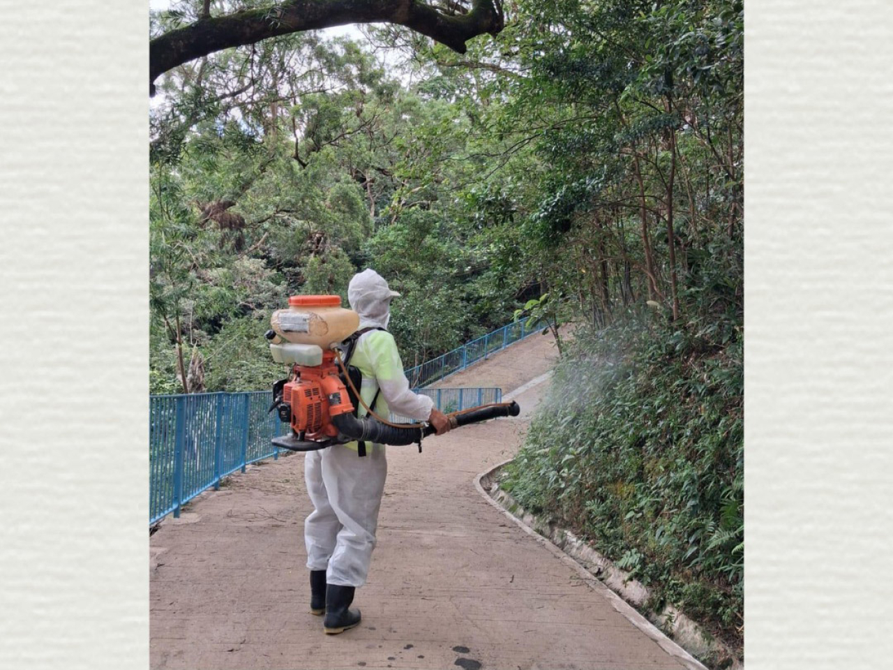 食環署表示,已加強全港公眾墳場及靈灰安置所的滅蚊工作。(食環署社交網站圖片)