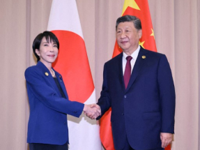 Xi meets regional leaders on Apec sidelines