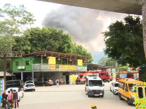 新田麒麟村附近貨倉三級火受控　消防發現一隻狗隻屍體