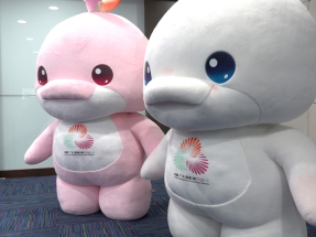 National Games 'key to HK's sporting higher profile'