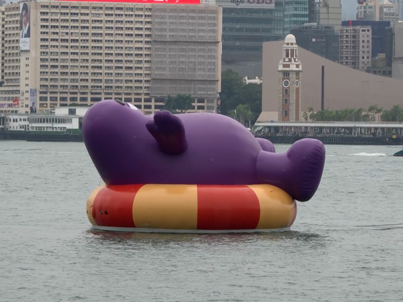 四個巨型充氣卡通雕塑維港巡遊　完成後將不再展示