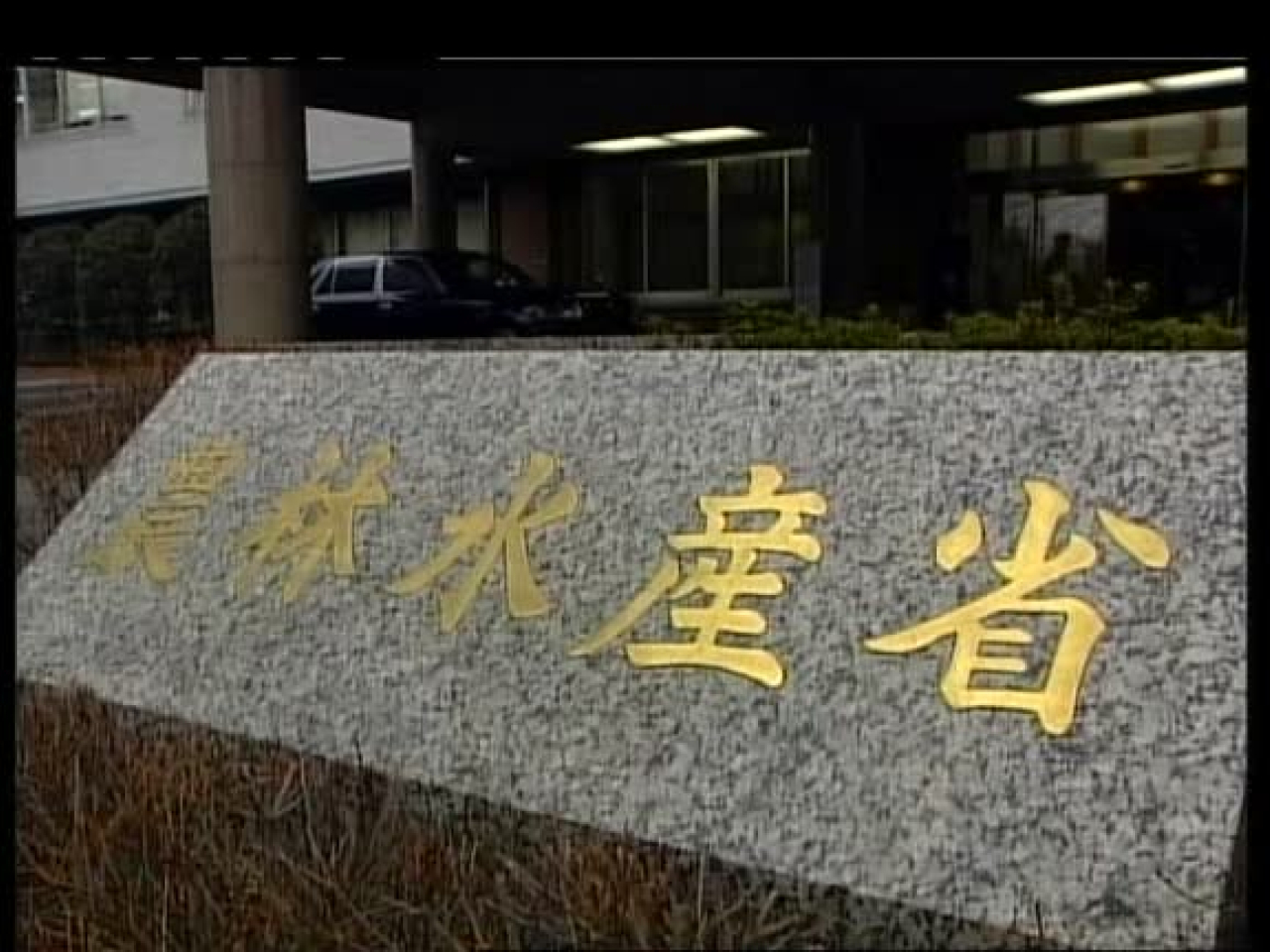 農林水產省公布本州一個農場爆發禽流感。(路透社資料圖片)