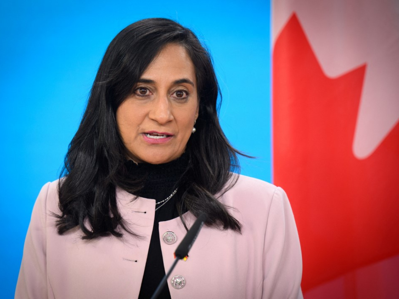 加拿大外長阿南德，對中國恢復旅行社經營中國公民的加拿大團隊遊表示歡迎。（法新社資料圖片）