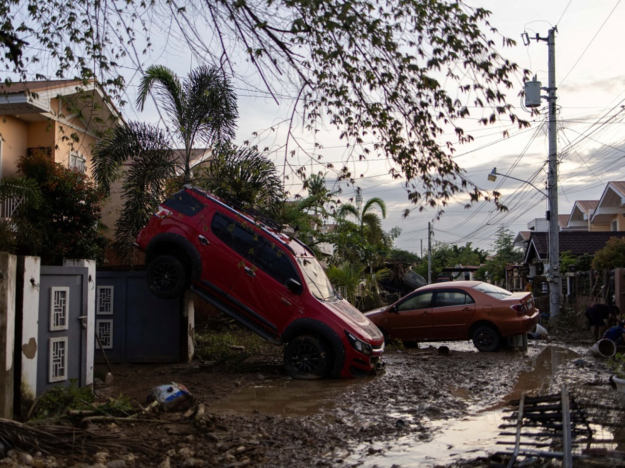 海鷗在菲律賓造成嚴重破壞。（路透社）