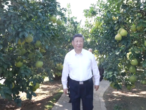 習近平到廣東梅州市考察調研