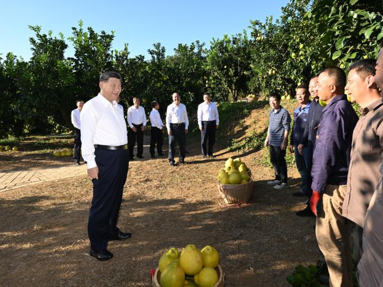習近平在昨日和今日先後到梅州、廣州考察調研。（新華社）