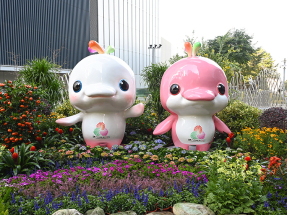 十五運會｜開幕式晚上廣州舉行　本港多個大型商場直播