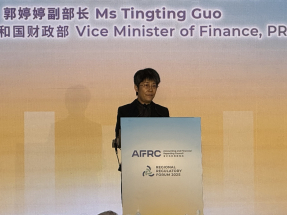 郭婷婷：中國正加快推進國內可持續信息披露與鑒證準則落地實施