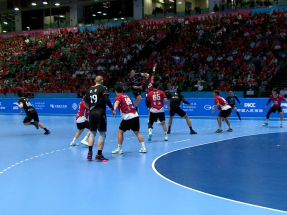 十五運會｜手球總會感謝球員付出　稱政府有提供支援冀有場館練習