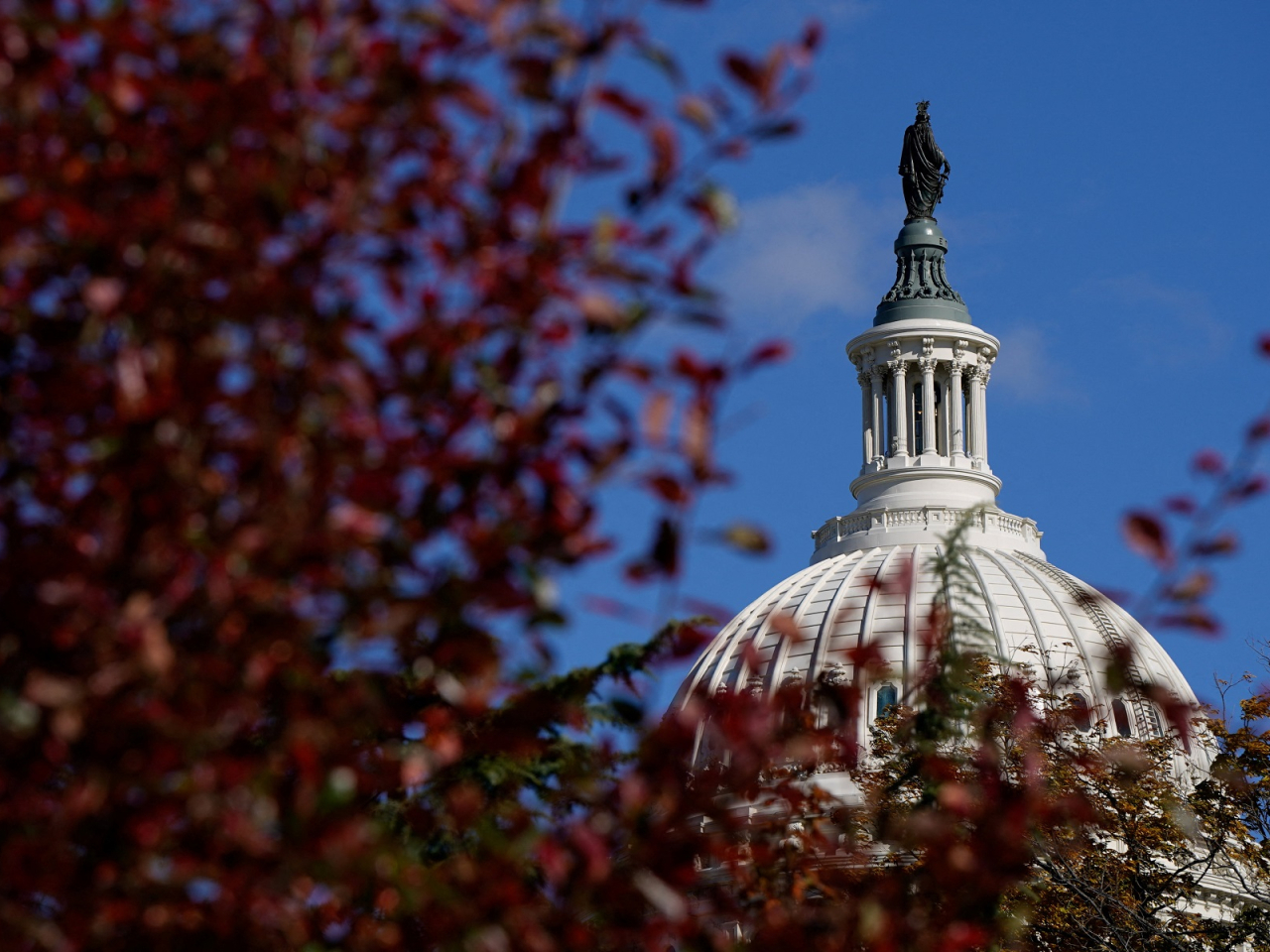 Eight Democrats joined Senate Republicans in voting for legislation to reopen the government. Photo: Reuters