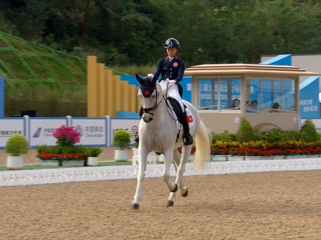 何苑欣引領策騎的馬匹演繹特定舞步動作，最終獲66.935分。