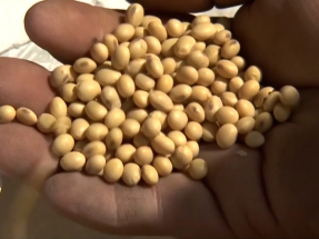 商務部回應大豆採購　指中方會與全球貿易夥伴持續深化互利合作