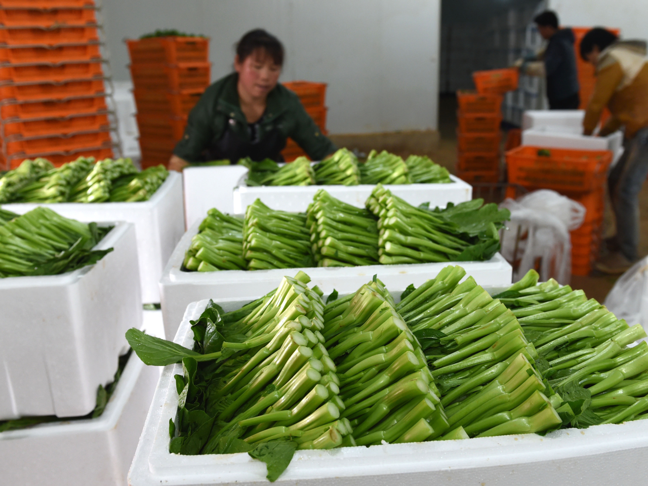 付凌暉稱食品及能源價格持續下降對CPI影響較大，但上月價格按年跌幅已收窄。（新華社資料圖片）