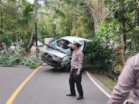 涉事車輛撞到樹後翻下山坡，車頭損毀。（央視新聞）