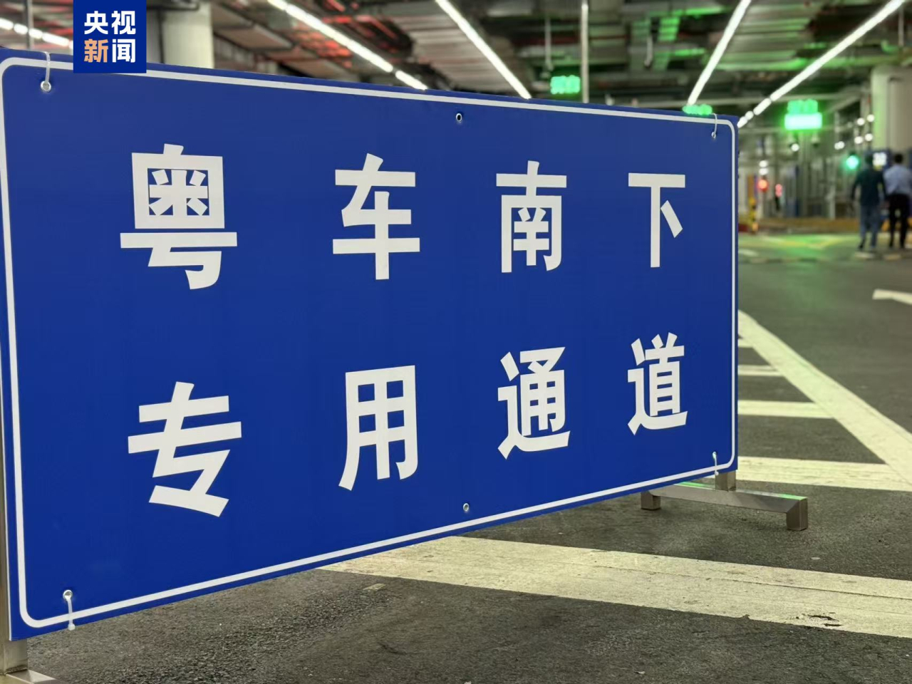 「粵車南下」政策正式落地實施。（央視圖片）