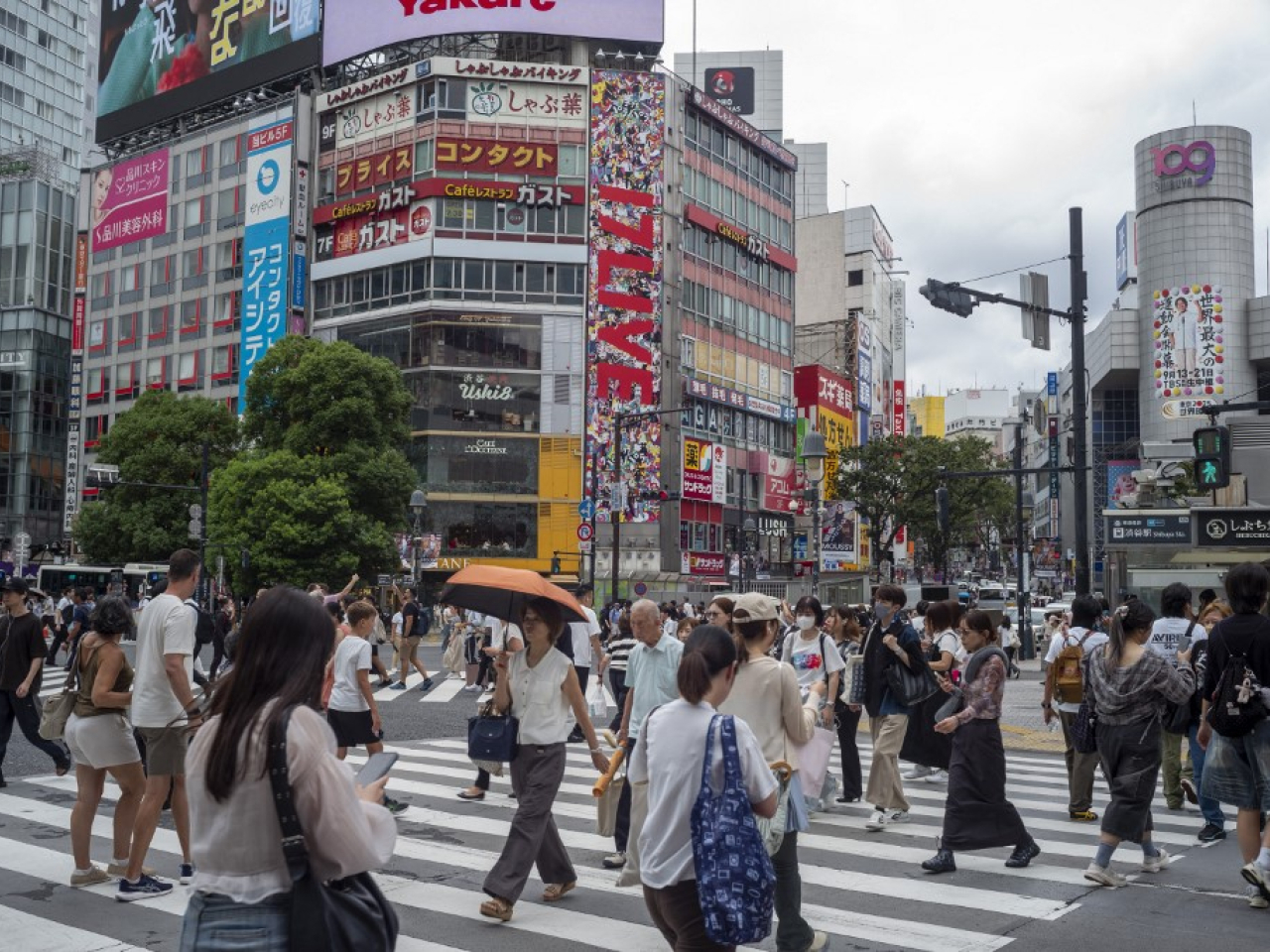 保安局表示，自今年中起，中國公民在日本發生遇襲事件的趨勢漸增。（法新社資料圖片）