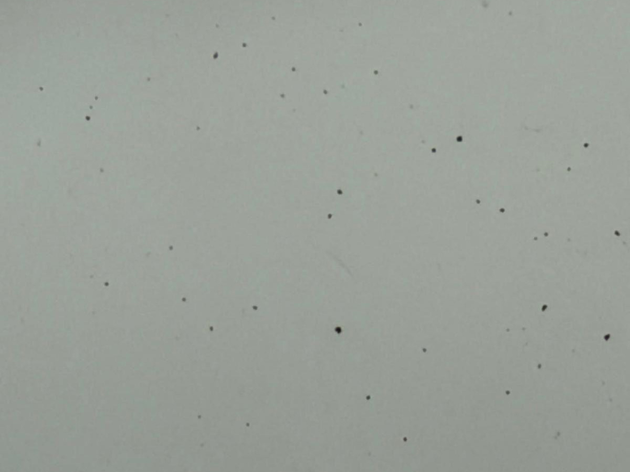 水務署表示，昨晚接獲太古城管理處通知，指有住戶反映食水內出現少量黑色微粒。（太古城居民提供）