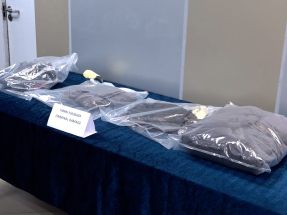 Man in court for allegedly damaging campaign material