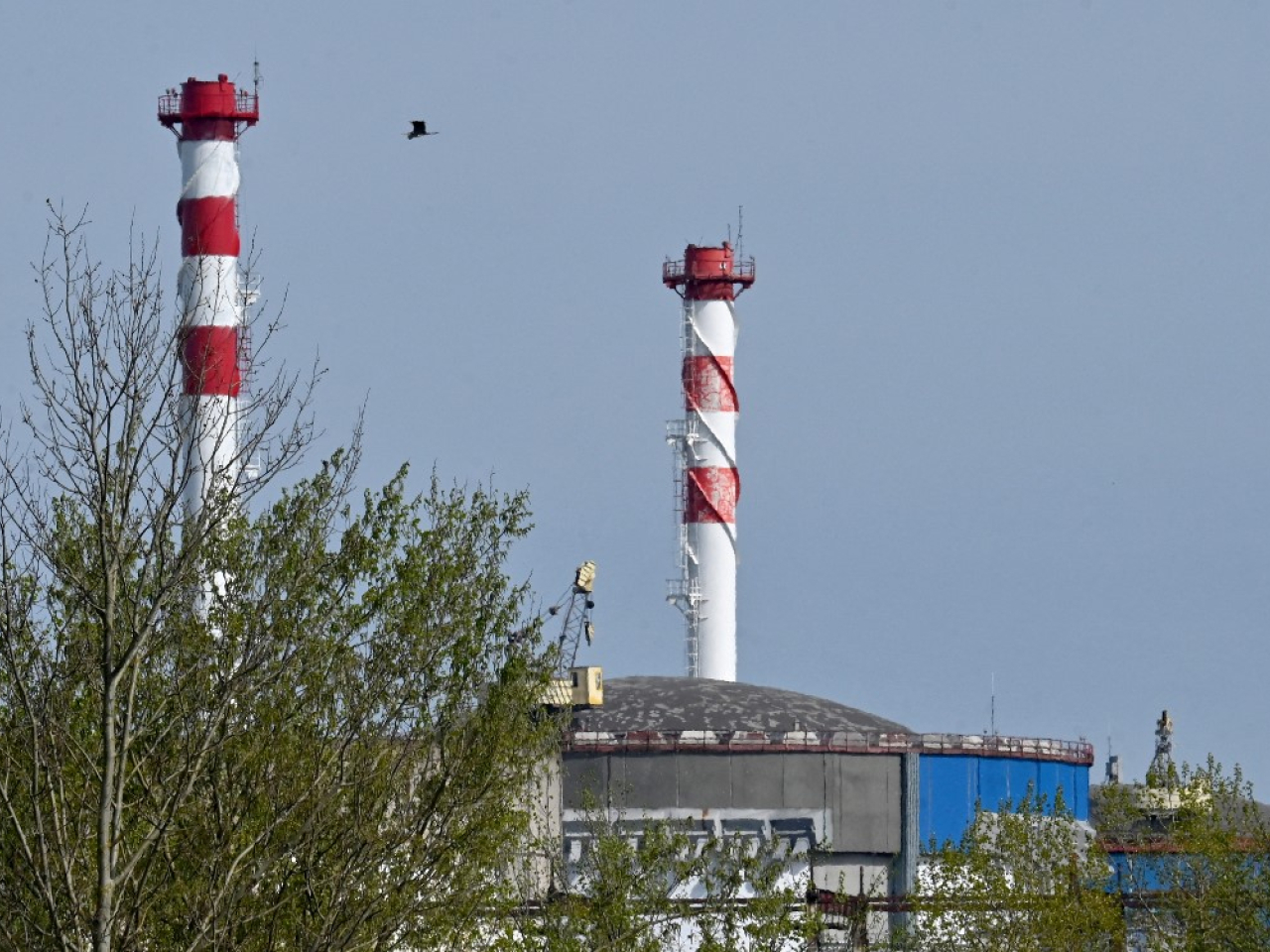 國際原子能機構稱烏克蘭核電站遭攻擊。 （法新社資料圖片）