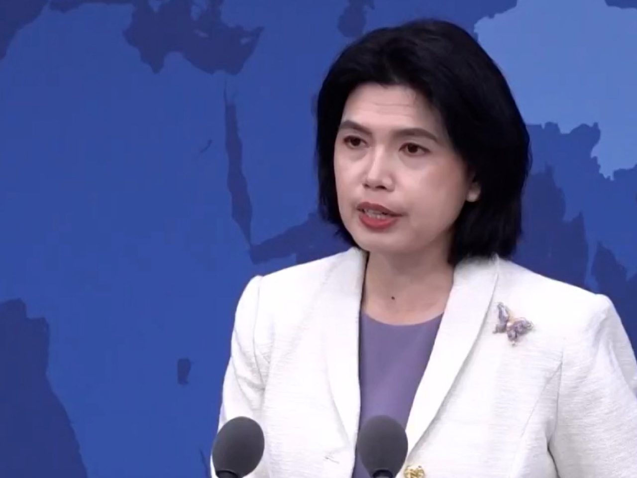 朱鳳蓮再次強調台灣問題是中國的內政，不容任何外來干涉。（央視截圖）