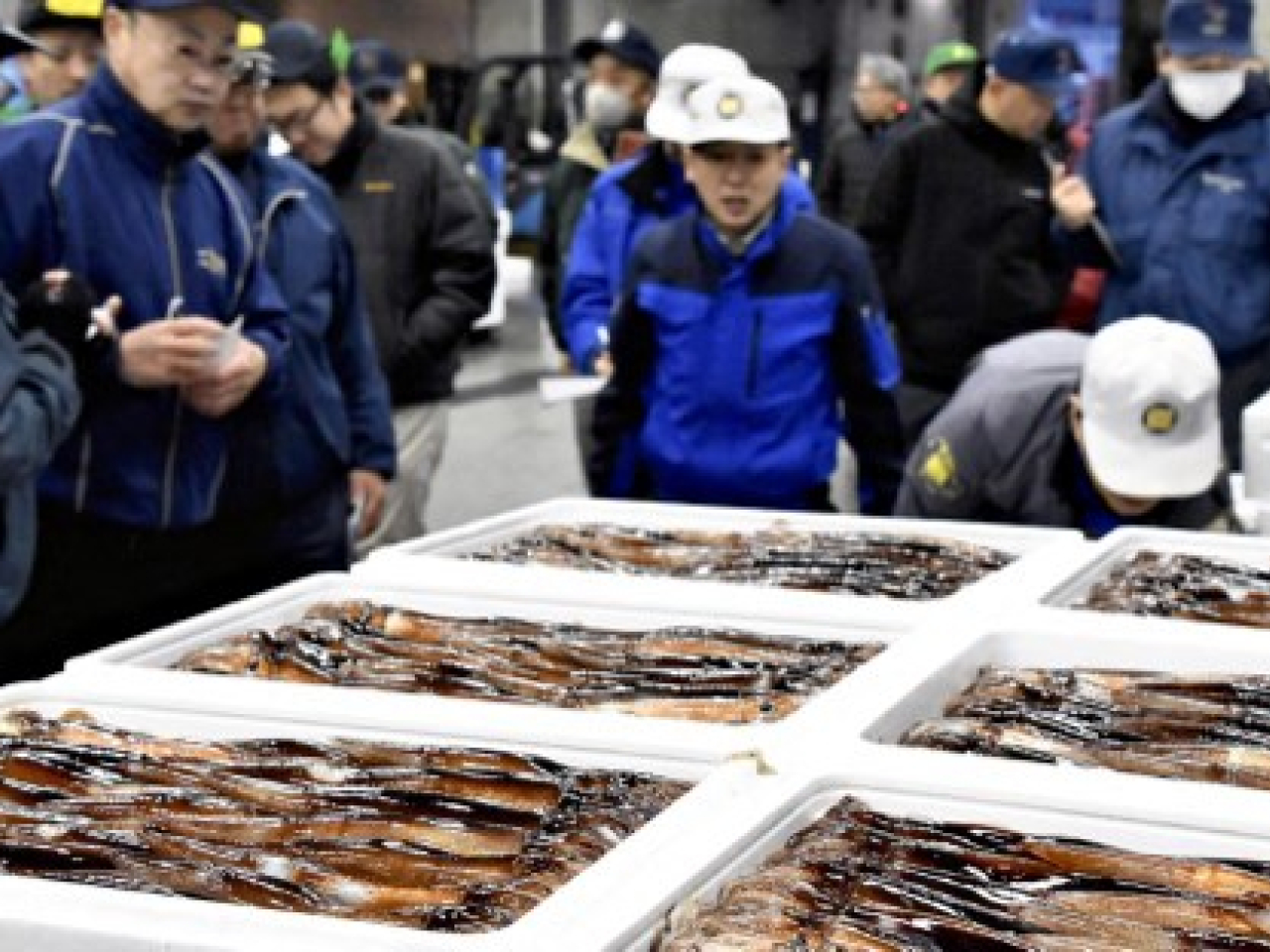 共同社報道，中國政府已向日本政府通報，暫停進口日本水產品。(法新社資料圖片)