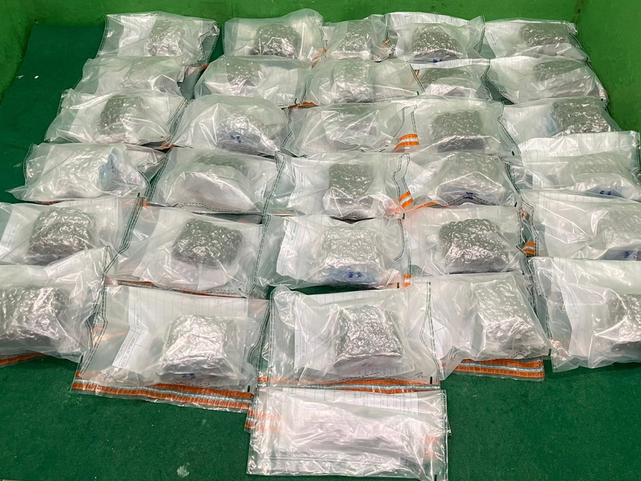 海關檢獲約17公斤懷疑大麻花，估計市值約340萬元。（政府新聞處）