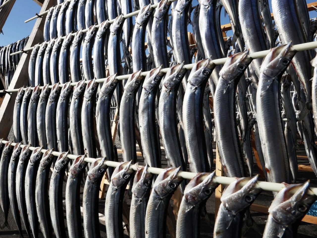 日本有水產加工經營者表示，對日本政府的應對感到不滿。（法新社資料圖片）