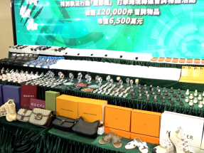 海關「雙十一」打擊冒牌貨　檢獲貨值約6500萬元貨品