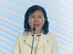 Sandbox X puts cross-border runs in low-altitude race