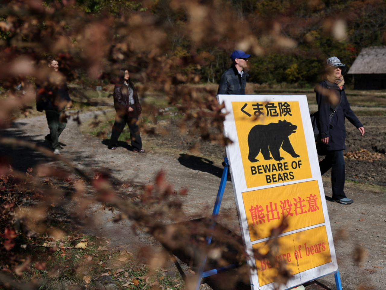 一頭雄性棕熊昨日於苫前町被捕獲。圖為岐阜縣白川鄉近日豎立的警告牌。（路透社資料圖片）