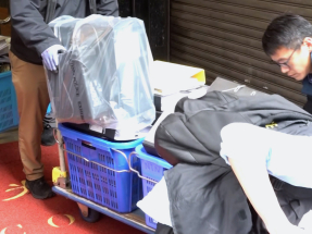 涉宏福苑大廈維修工程三人涉誤殺被捕　警方到新蒲崗搜證