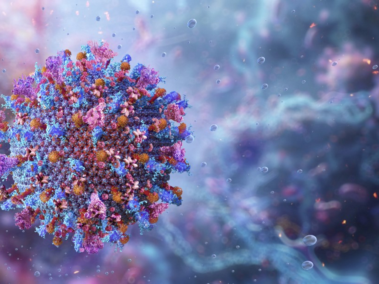 今次是西班牙31年來首次出現非洲豬瘟個案。（法新社）