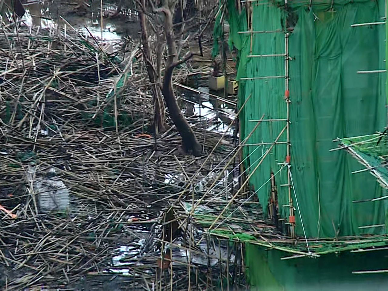 屋宇署表示，大埔宏福苑五級火警揭示宏業在地盤安全管理有嚴重缺失，包括使用大量發泡膠板遮封維修樓宇的窗戶。（張連登攝）