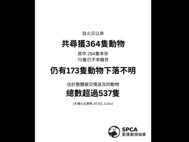 協會說，估計整體受影響的動物總數超過537隻。（愛護動物協會社交網頁）